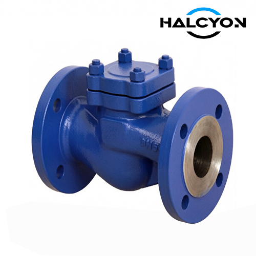 DIN Cast Iron Lift Check Valve